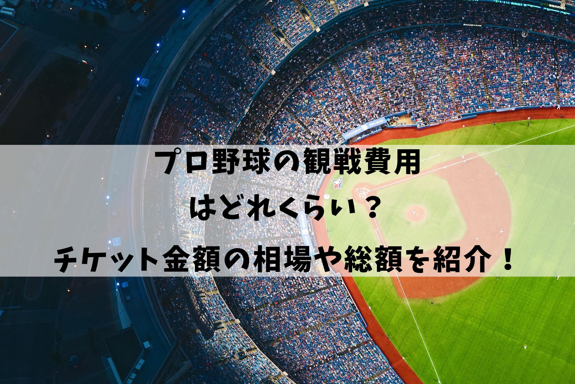 プロ野球の観戦費用はどれくらい？チケット金額の相場や総額を紹介！